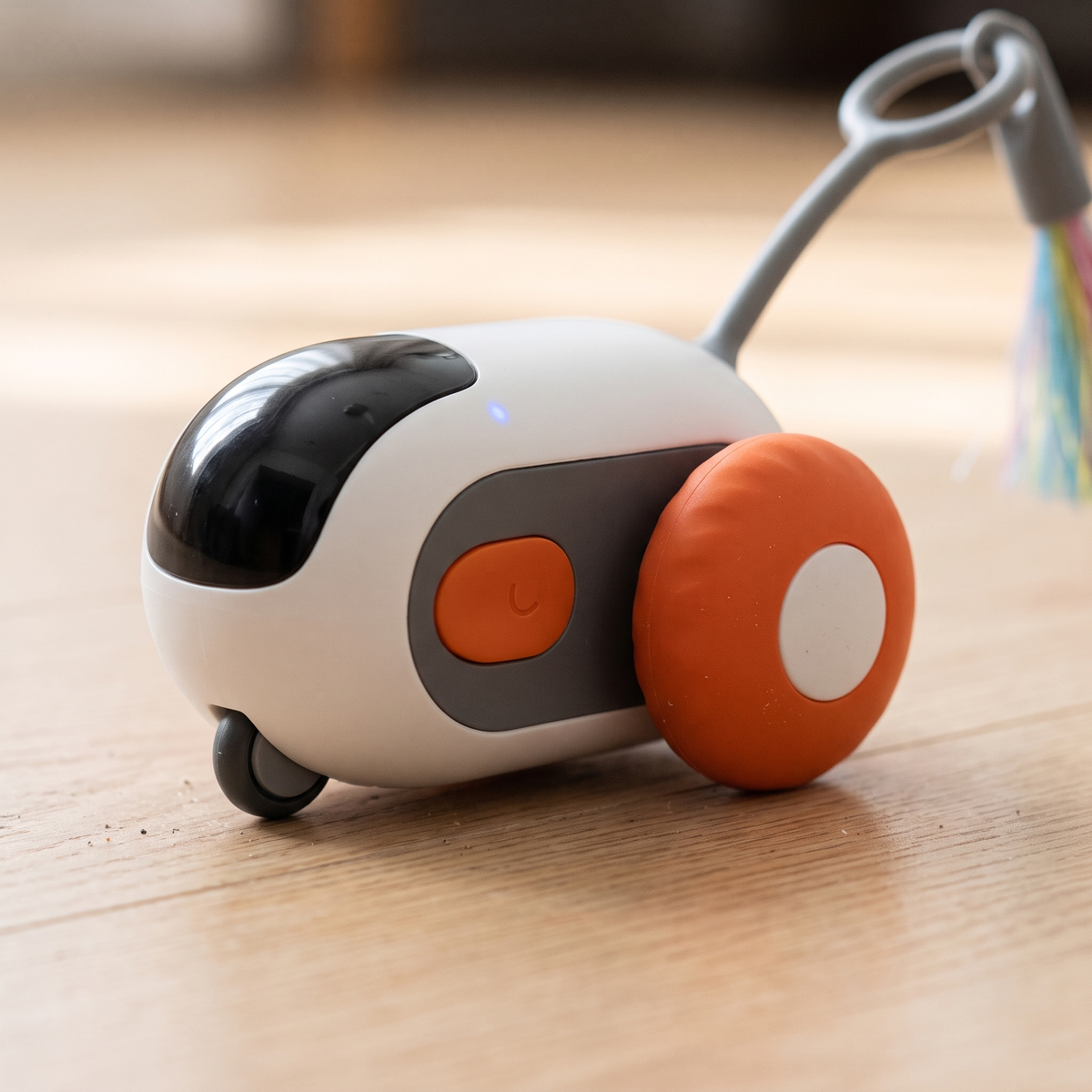 Zoom Self-Rolling Cat Toy Car wheels close-up