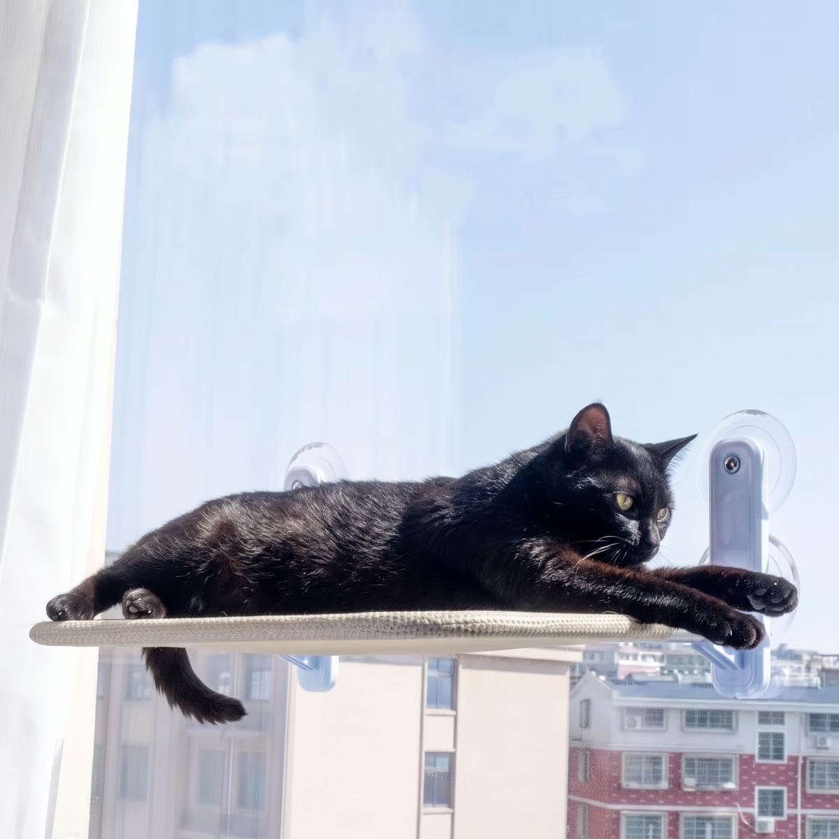 Sunspot Window Cat Hammock with a black cat stretching