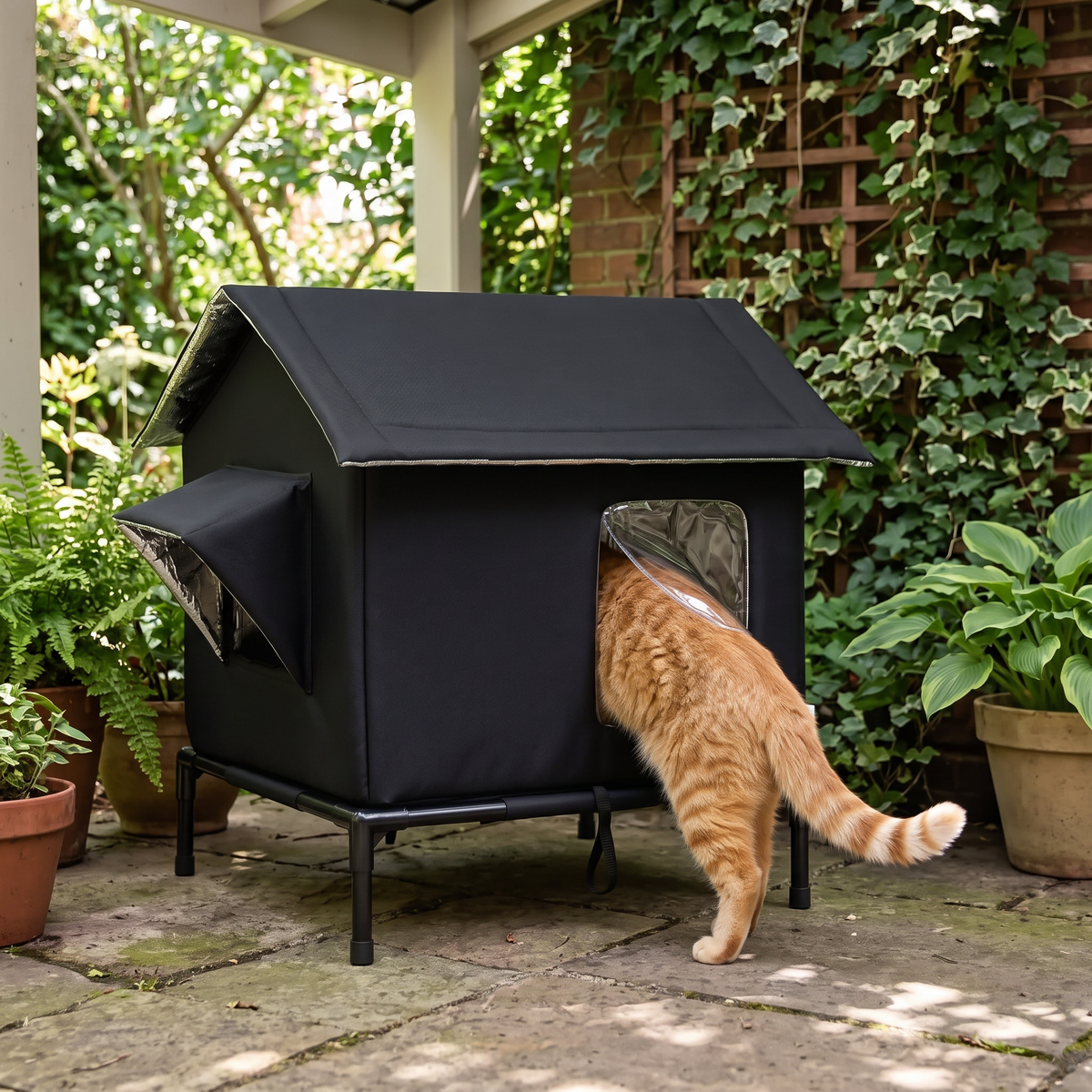 Haven Raised Weatherproof Pet House with a ginger cat stepping in