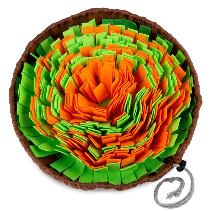 Forage Snuffle Mat for Dogs on white background