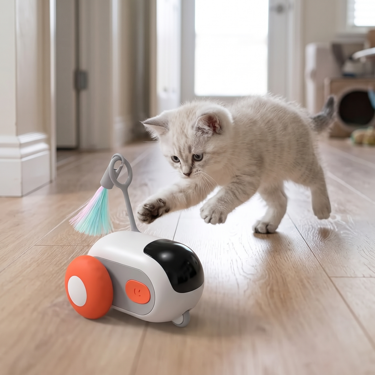 Zoom Self-Rolling Cat Toy Car with a kitten pouncing