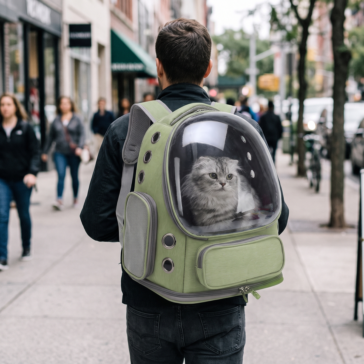Orbit Bubble Pet Carrier Backpack with a cat in the city