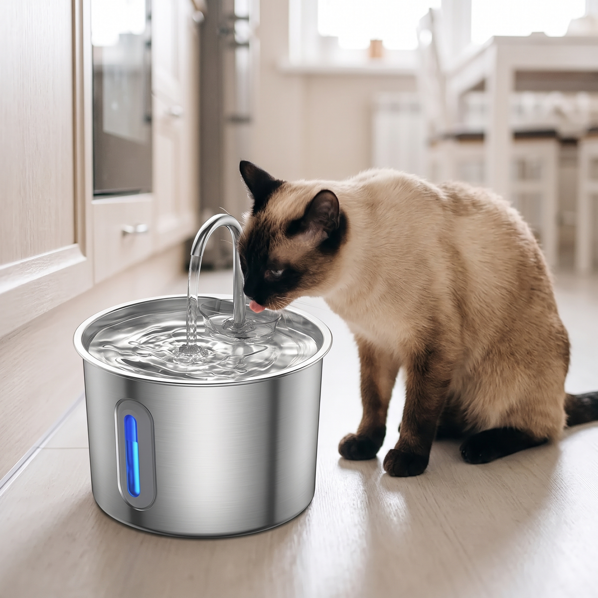 Clearwater Stainless Steel Pet Water Fountain with a siamese drinking