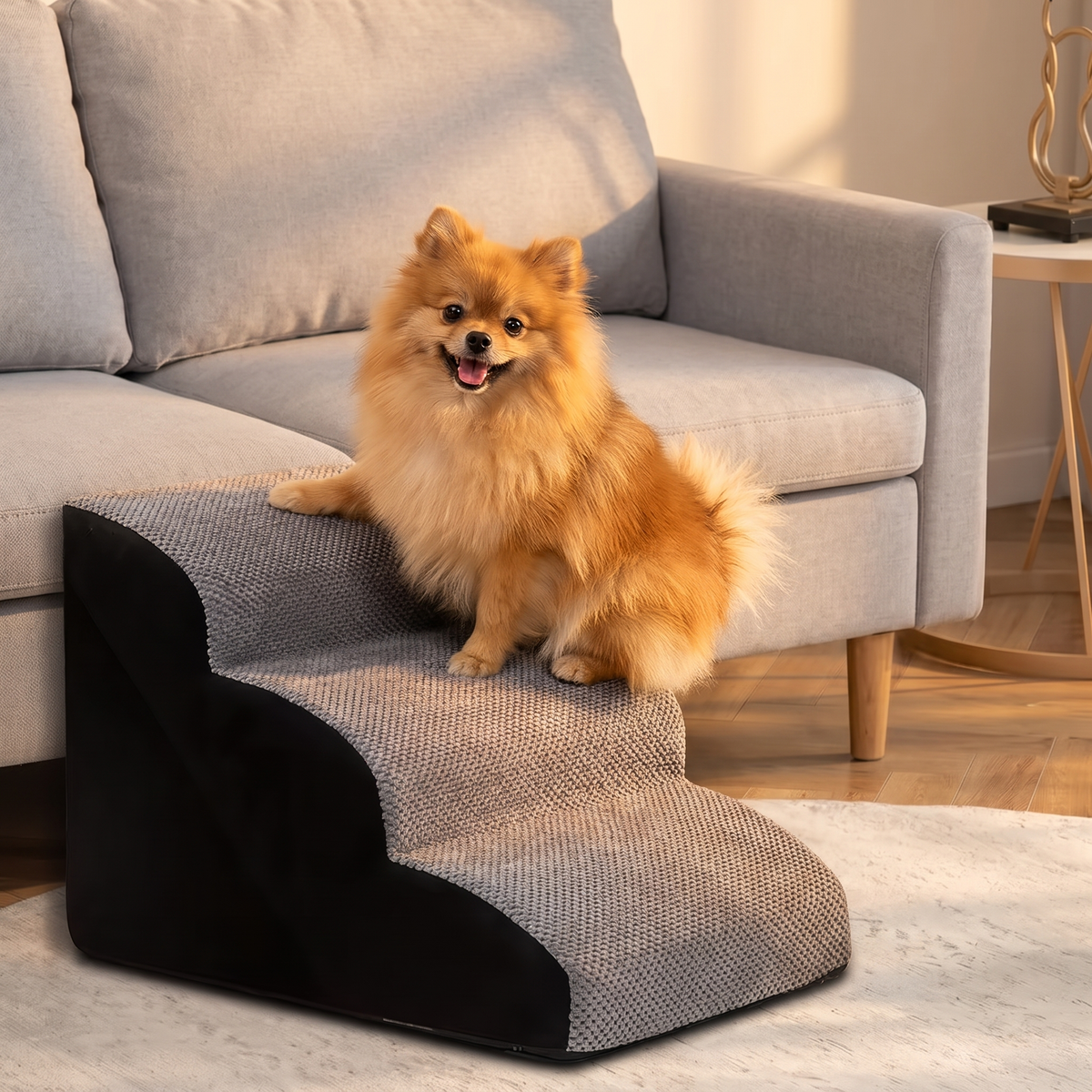 Hop 3-Step Memory Foam Pet Stairs with a pomeranian in the evening