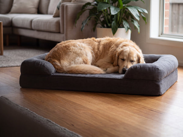 Shop Dog Beds