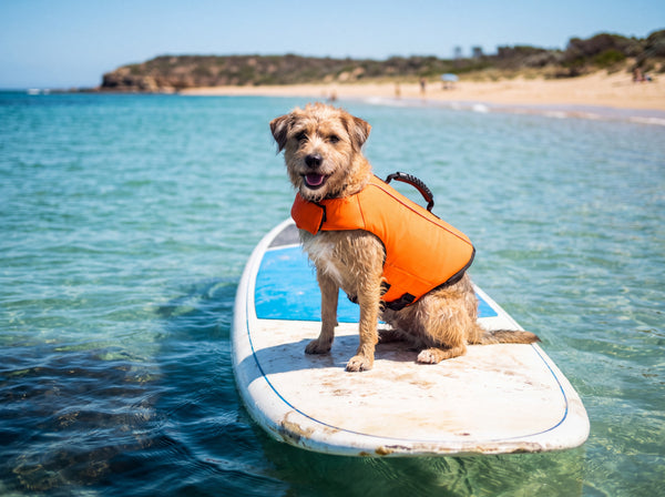 Shop Life Jackets